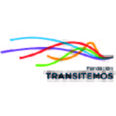 TRANSITEMOSWEB-48